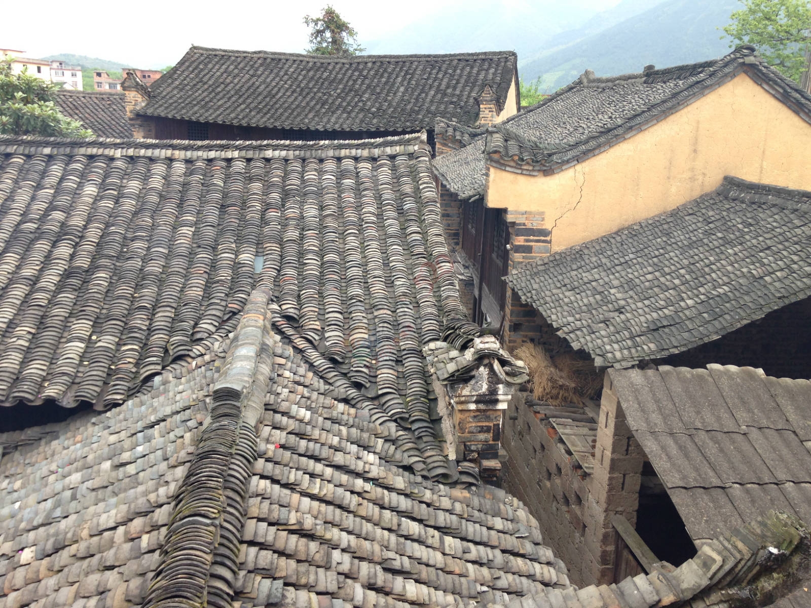 走在这样的地方881 / 作者:黑白年代 / 帖子ID:115057