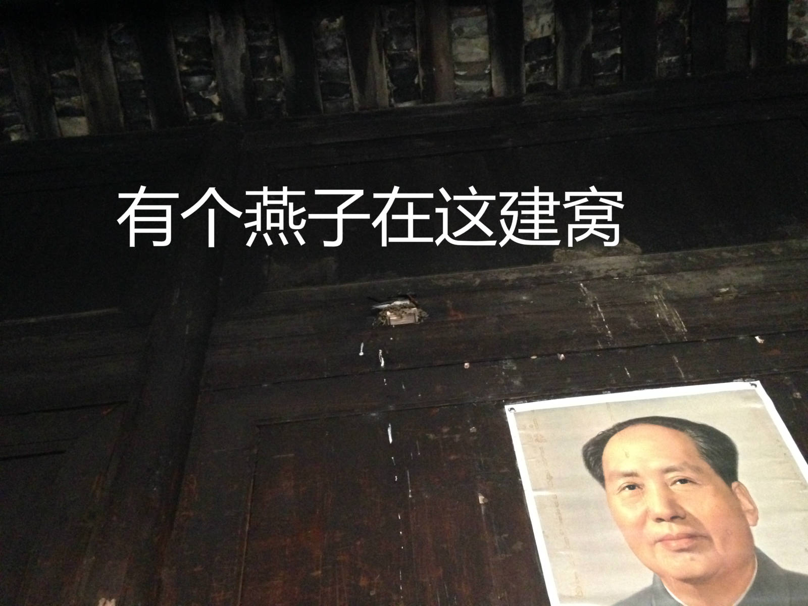 每家的大堂中间都会挂一张毛泽东画像966 / 作者:黑白年代 / 帖子ID:115058