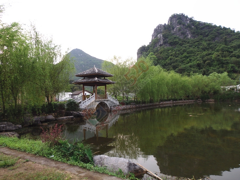 回到恭城到处是美景＜四＞…554 / 作者:建筑19551213 / 帖子ID:115158