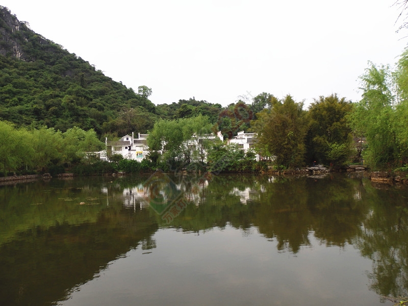 回到恭城到处是美景＜四＞…386 / 作者:建筑19551213 / 帖子ID:115158