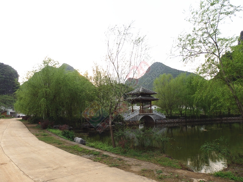 回到恭城到处是美景＜四＞…492 / 作者:建筑19551213 / 帖子ID:115158