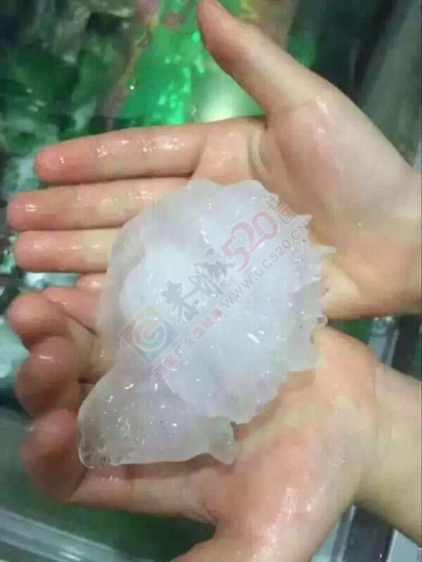 老天爷，开了个玩笑83 / 作者:谢姨烧烤 / 帖子ID:115277
