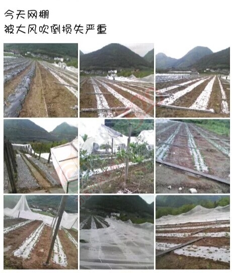 唉，那么辛苦的劳动，就这样被毁了632 / 作者:小雅姐姐 / 帖子ID:115342