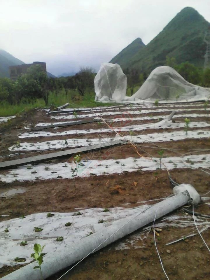 唉，那么辛苦的劳动，就这样被毁了756 / 作者:小雅姐姐 / 帖子ID:115342