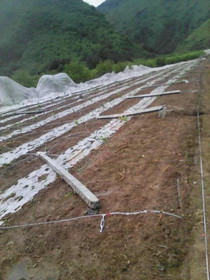 唉，那么辛苦的劳动，就这样被毁了497 / 作者:小雅姐姐 / 帖子ID:115342