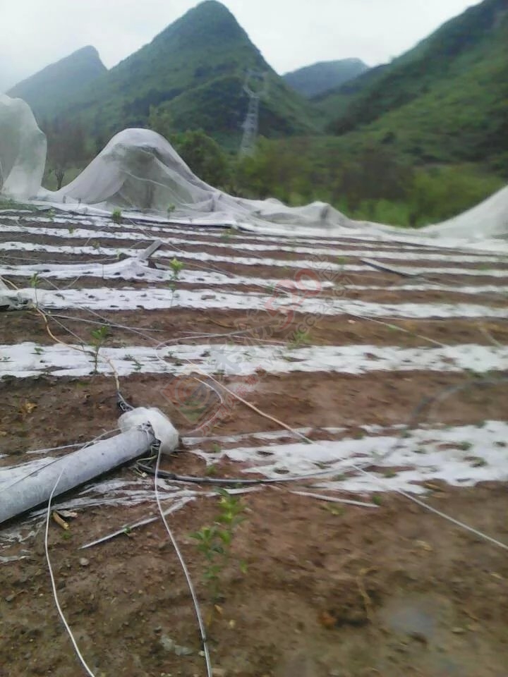 唉，那么辛苦的劳动，就这样被毁了337 / 作者:小雅姐姐 / 帖子ID:115342