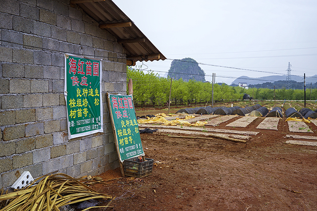 为禁桉拍点广告提点建议217 / 作者:chen庸 / 帖子ID:115406