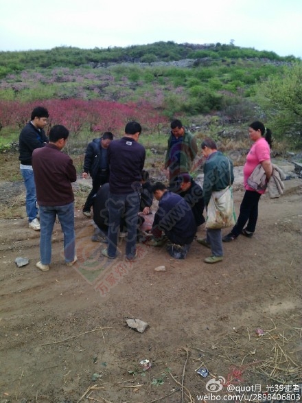 西岭政府征用岩背村村民山地搞风力发电引争议379 / 作者:对岸烽火 / 帖子ID:115610