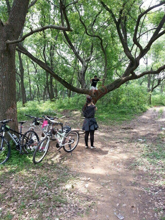 五一假期 骑行新路线 林家埠356 / 作者:曾木兜 / 帖子ID:115620