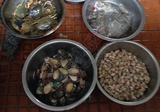 很久没去菜市才看见一家新开的海鲜店644 / 作者:thkfh / 帖子ID:115727