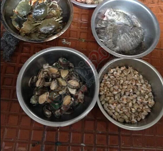很久没去菜市才看见一家新开的海鲜店551 / 作者:thkfh / 帖子ID:115727