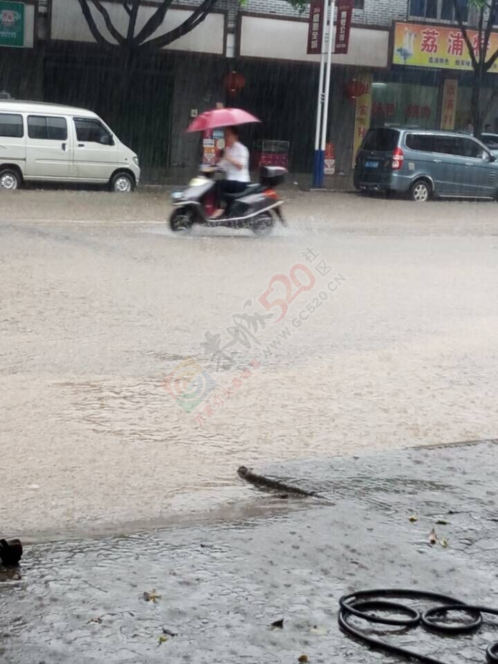 恭城恭沙路这节内涝了！760 / 作者:苦竹河畔 / 帖子ID:115824