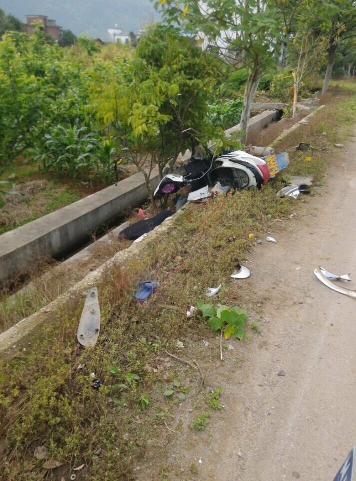 这个打屁虫才险火！465 / 作者:马岗奇的风 / 帖子ID:115826