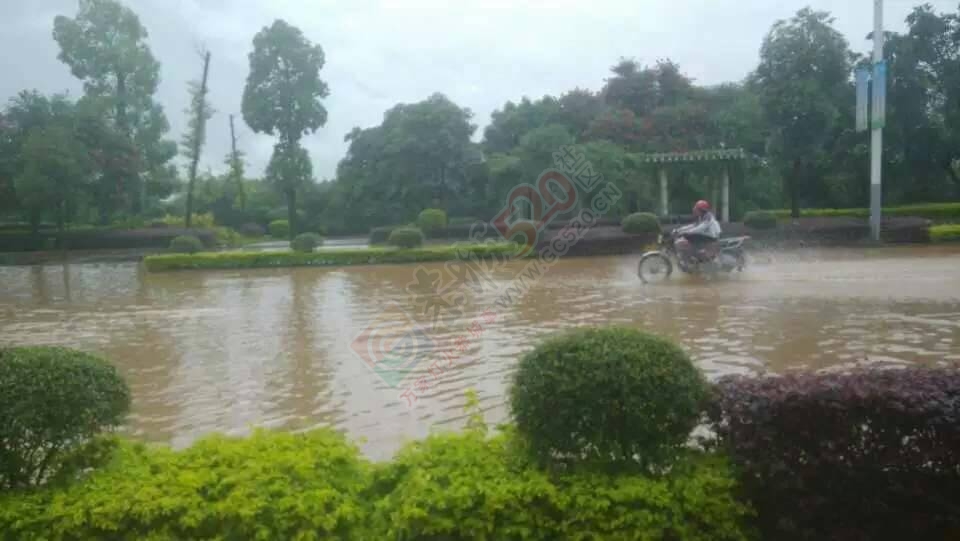 五月到恭城来看海。242 / 作者:箩筐索 / 帖子ID:115827