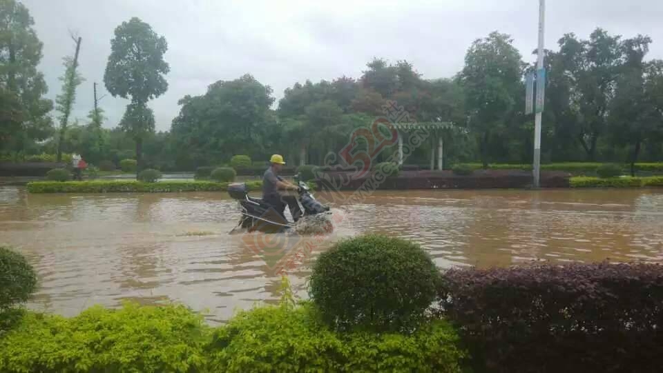 五月到恭城来看海。875 / 作者:箩筐索 / 帖子ID:115827