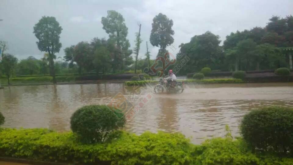 五月到恭城来看海。182 / 作者:箩筐索 / 帖子ID:115827