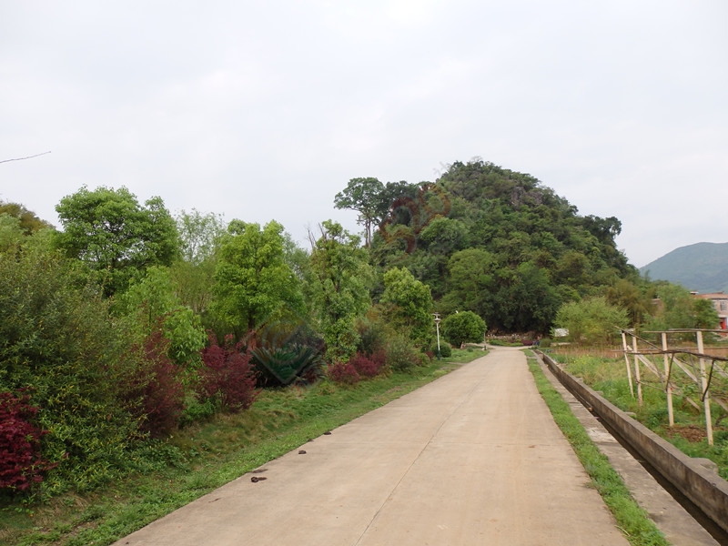 花，半开最美；情，留白最浓。551 / 作者:建筑19551213 / 帖子ID:115896