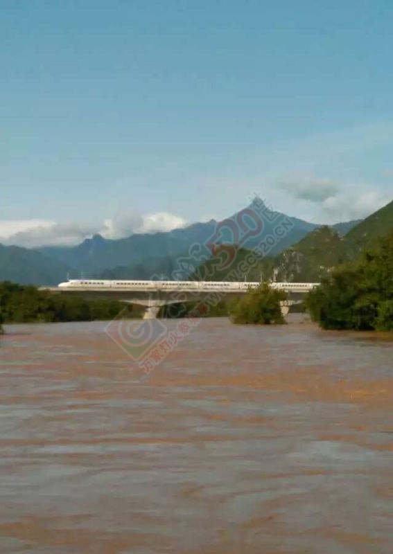 i439 / 作者:风轻云_gz0k8 / 帖子ID:115964