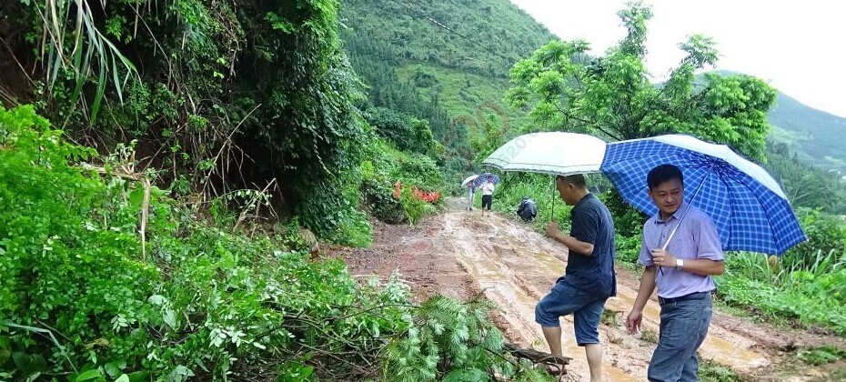 观音乡连降三次暴雨 400多亩农田受淹685 / 作者:欧耶 / 帖子ID:115983