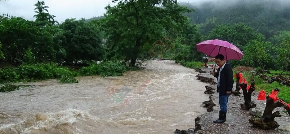 观音乡连降三次暴雨 400多亩农田受淹316 / 作者:欧耶 / 帖子ID:115983