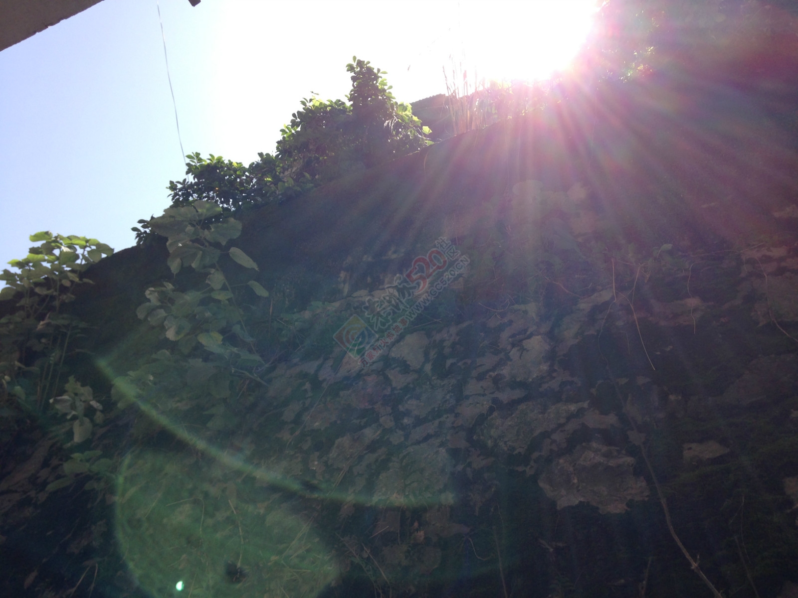 今天大太阳一扫昨天的暴雨阴霾497 / 作者:恭城520小奈姐姐 / 帖子ID:115986