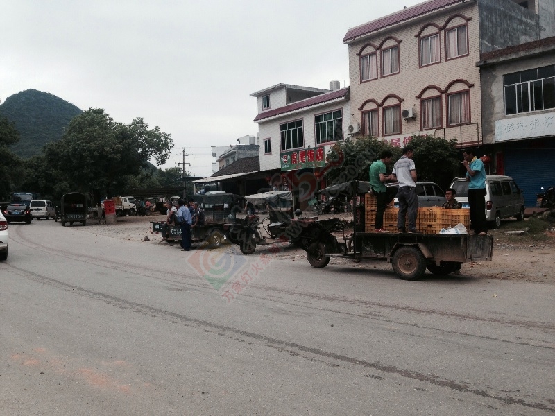 虎尾大堵车799 / 作者:laz0607 / 帖子ID:116019