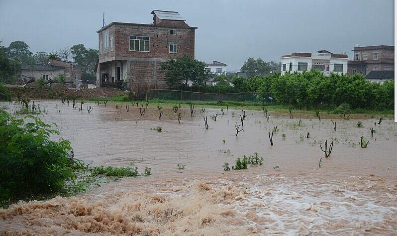 恭城各地大暴雨袭击后组图783 / 作者:砍柴撞跌老斑鸠 / 帖子ID:116040