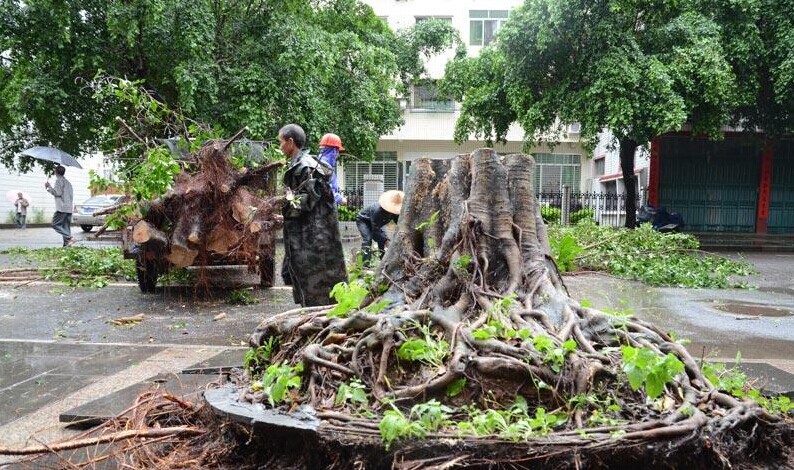 恭城各地大暴雨袭击后组图597 / 作者:砍柴撞跌老斑鸠 / 帖子ID:116040