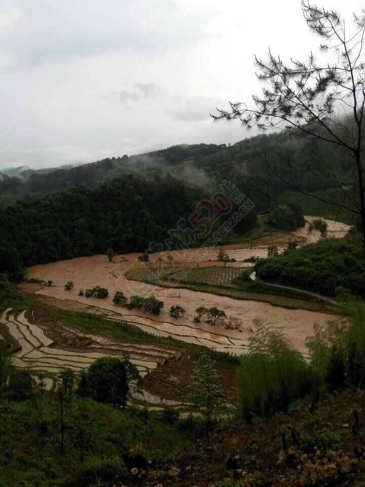 当官的干点实事吧，一个个被遗忘的小村庄（椅子村）795 / 作者:yaoshanxiaoge / 帖子ID:116111