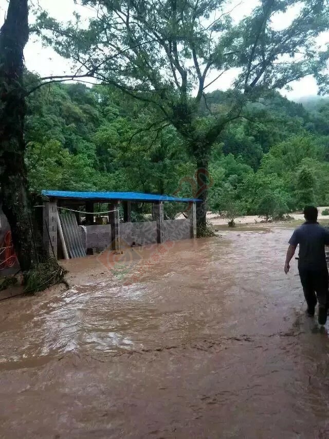 当官的干点实事吧，一个个被遗忘的小村庄（椅子村）951 / 作者:yaoshanxiaoge / 帖子ID:116111