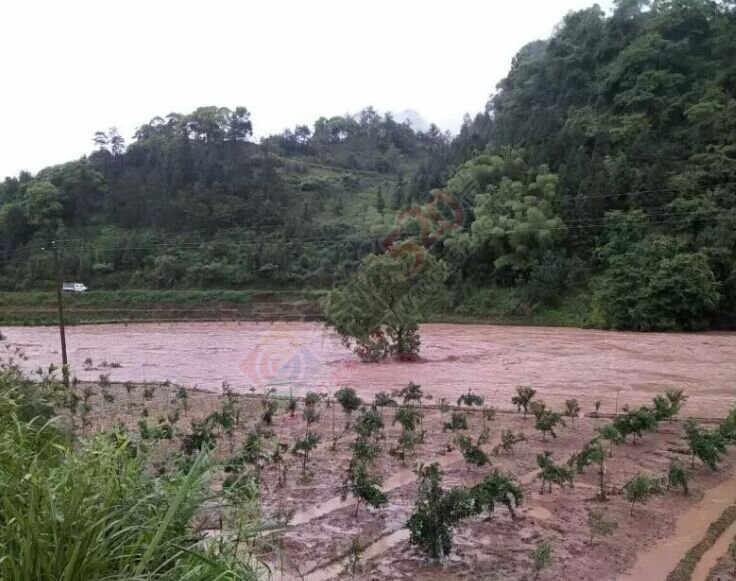 当官的干点实事吧，一个个被遗忘的小村庄（椅子村）638 / 作者:yaoshanxiaoge / 帖子ID:116111