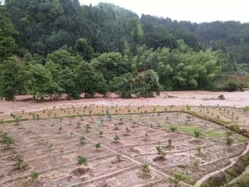 当官的干点实事吧，一个个被遗忘的小村庄（椅子村）859 / 作者:yaoshanxiaoge / 帖子ID:116111