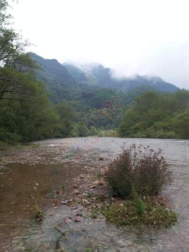 当官的干点实事吧，一个个被遗忘的小村庄（椅子村）240 / 作者:yaoshanxiaoge / 帖子ID:116111