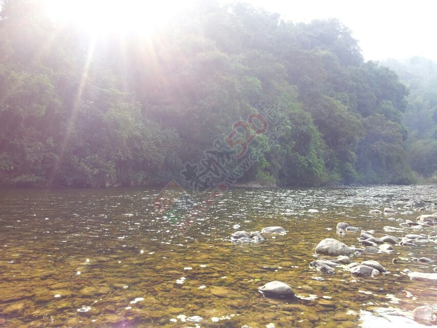 当官的干点实事吧，一个个被遗忘的小村庄（椅子村）466 / 作者:yaoshanxiaoge / 帖子ID:116111