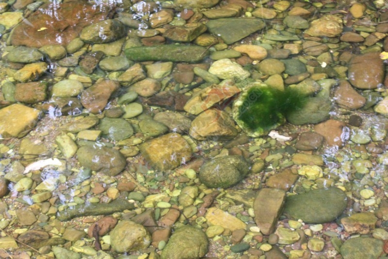 当官的干点实事吧，一个个被遗忘的小村庄（椅子村）933 / 作者:yaoshanxiaoge / 帖子ID:116111