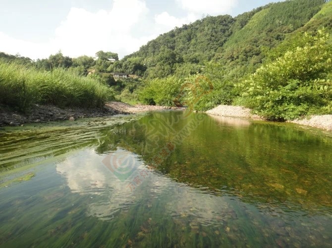 当官的干点实事吧，一个个被遗忘的小村庄（椅子村）97 / 作者:yaoshanxiaoge / 帖子ID:116111