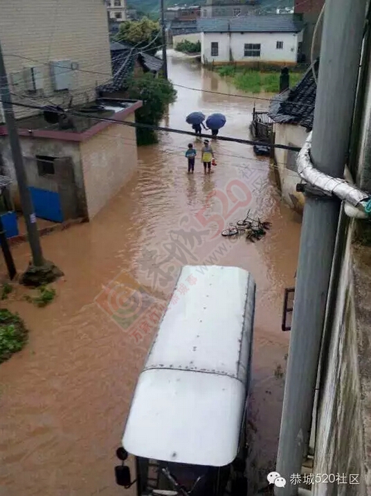 恭城连降暴雨，多地开启看海模式，西岭群众受灾自救442 / 作者:520小编 / 帖子ID:116167