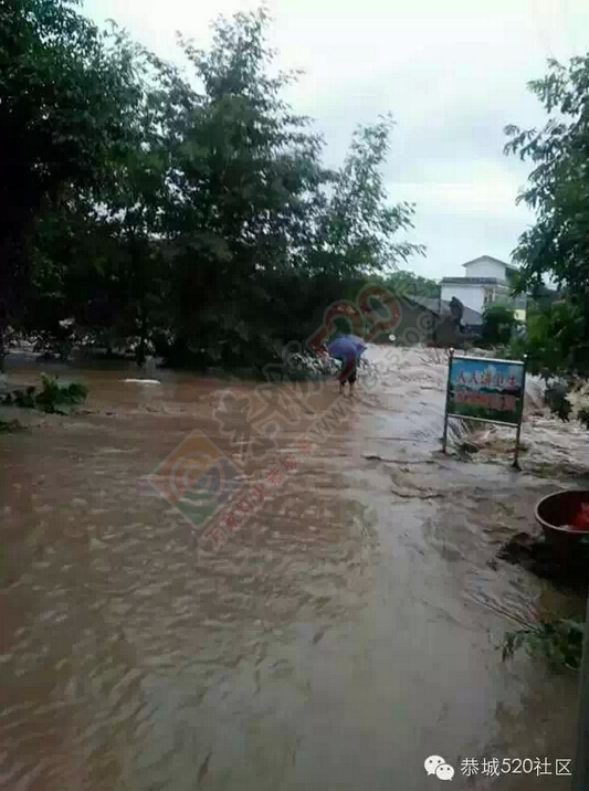 恭城连降暴雨，多地开启看海模式，西岭群众受灾自救702 / 作者:520小编 / 帖子ID:116167