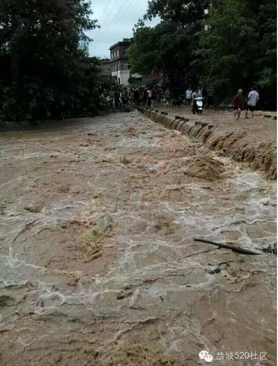 恭城连降暴雨，多地开启看海模式，西岭群众受灾自救644 / 作者:520小编 / 帖子ID:116167