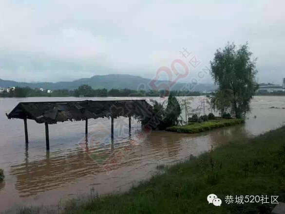 恭城连降暴雨，多地开启看海模式，西岭群众受灾自救823 / 作者:520小编 / 帖子ID:116167