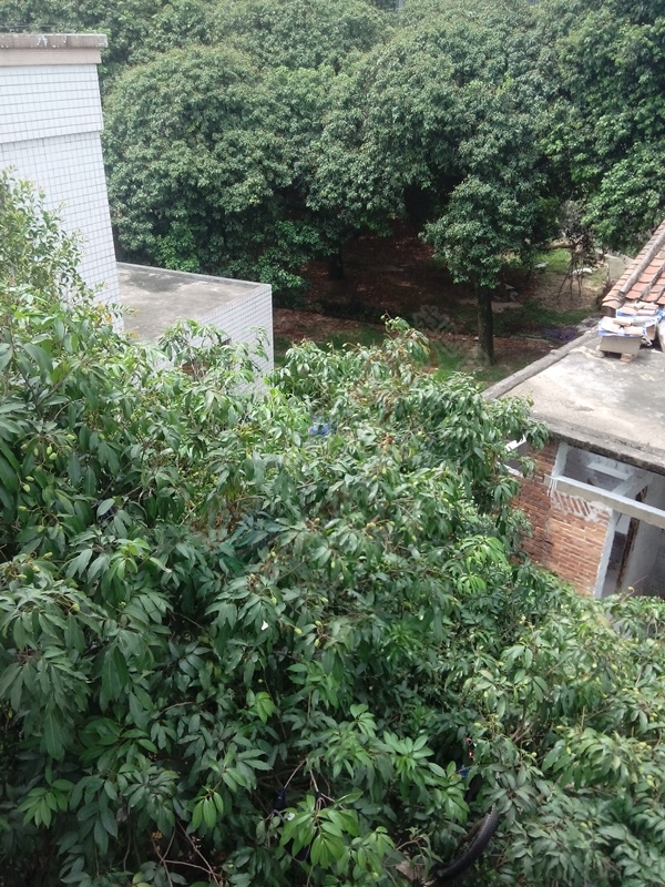 又快到和小伙伴做坏事的时候了807 / 作者:W520CL / 帖子ID:116183