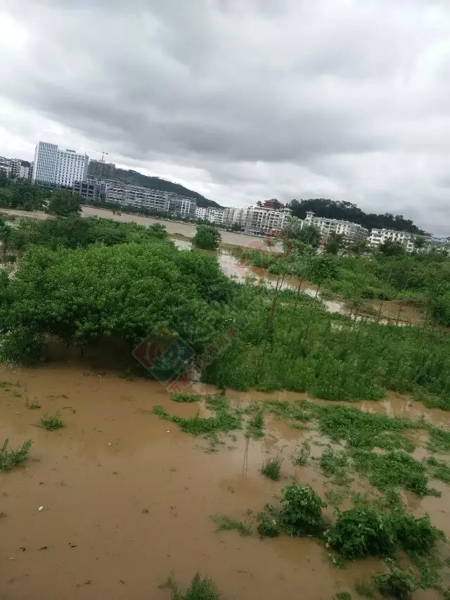 到处都在涨水837 / 作者:雪碧云飘飘 / 帖子ID:116295