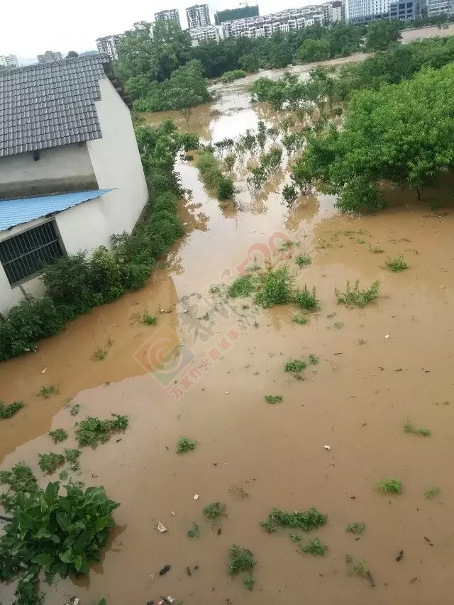 到处都在涨水718 / 作者:雪碧云飘飘 / 帖子ID:116295