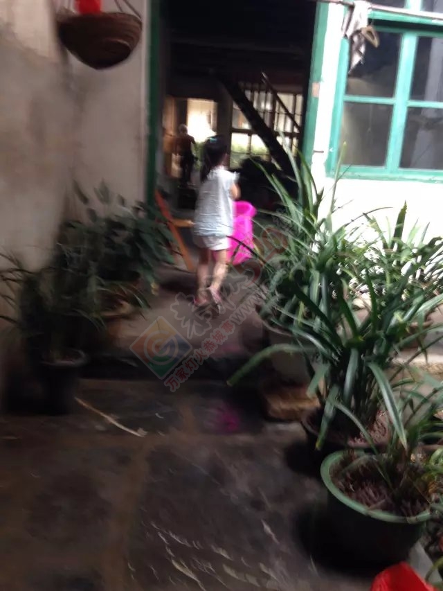 我们这条街唯独一家有水，这位老伯开门大喊我这有水给大家打水626 / 作者:桂花糕 / 帖子ID:116316