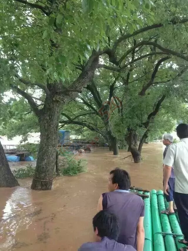 昨天5.20，在你们晒各种礼物红包的时候我的家乡它却承受着严重的考验675 / 作者:摘颗星星送给你 / 帖子ID:116340
