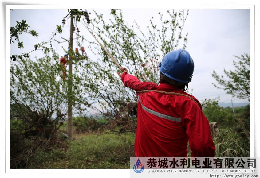 请大家放心，会尽快送电的！ 更新图集 16楼！~976 / 作者:三金 / 帖子ID:116314