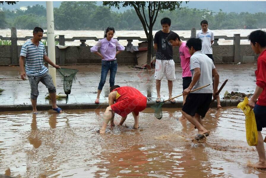 滨江苑马路上抓鱼985 / 作者:砍柴撞跌老斑鸠 / 帖子ID:116363