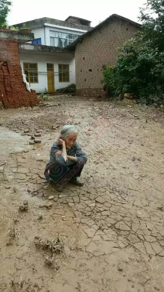 共同祈祷，老天，停停雨吧！889 / 作者:猫小萌 / 帖子ID:116369