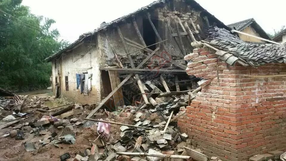 共同祈祷，老天，停停雨吧！562 / 作者:猫小萌 / 帖子ID:116369