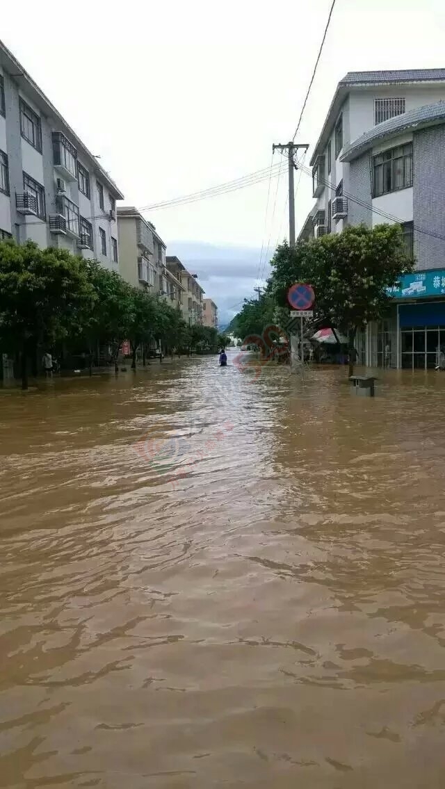 共同祈祷，老天，停停雨吧！71 / 作者:猫小萌 / 帖子ID:116369